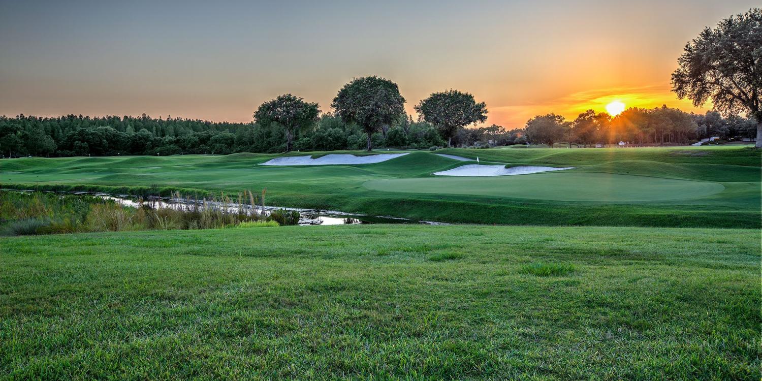 TPC Tampa Bay Returns to Glory By Dave Daubert