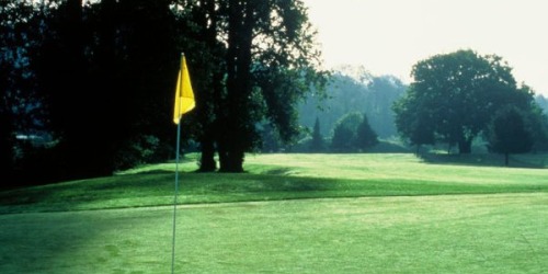Foster Golf Links