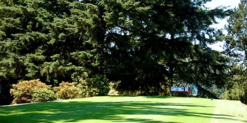 Gallery Golf Course