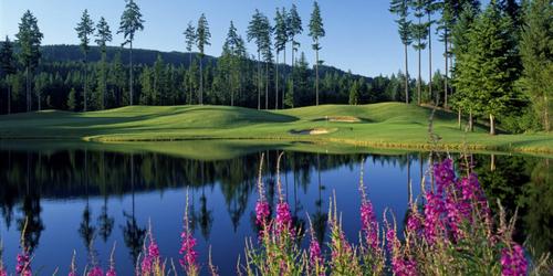Gold Mountain Golf Course - The Olympic Washington golf packages