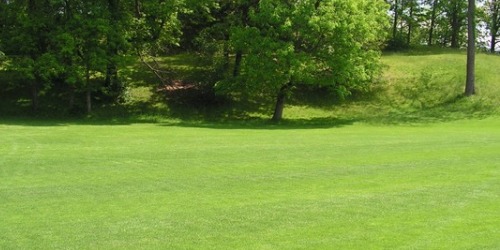 Springfield Golf Club