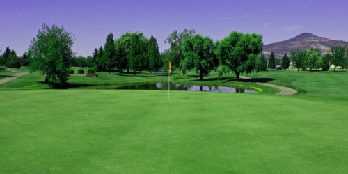 Stewart Meadows